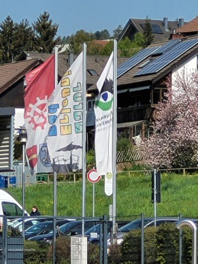 80f71331-decd-4d82-8b79-8402a3e71474