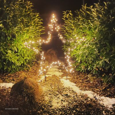 85b826bb-1ed7-4e5d-b3bb-ad59efc3e1a0