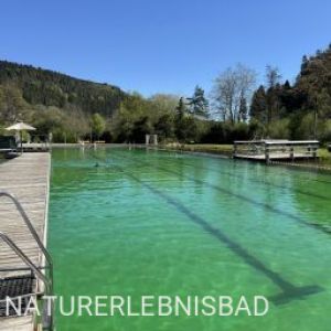 Schwimmbecken