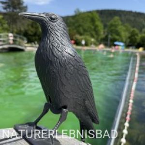 Der Wächter